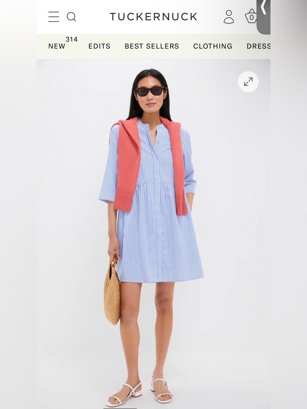Tuckernuck blue stripe shirt dress